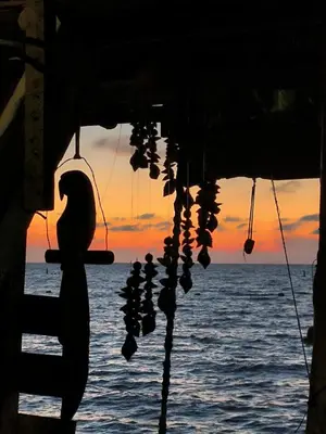 a view of the ocean at sunset from a boat at DespertArte espacio de Arte y Hospedaje in Playa Blanca
