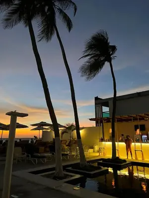 a couple of palm trees next to a building at Wala Hotel and Beach Club in Cartagena de Indias