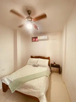 a bedroom with a bed with a ceiling fan at Mayo apartamentos in Santiago