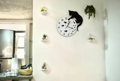 a clock hanging on a wall with a cat on it at Casa del Gato in Cartagena de Indias