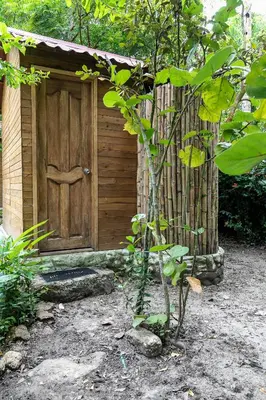 a small wooden building with a wooden door at Hostal Campomar in Santa Veronica