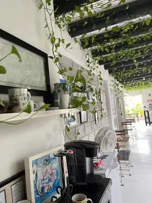 a kitchen with plants hanging from the ceiling at Casa Ines in Santa Marta