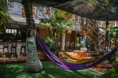 a hammock hanging from a palm tree in a courtyard at L' Europe in Isla Fuerte