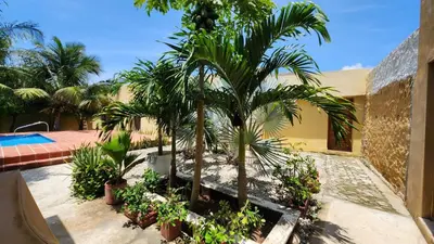 a courtyard with palm trees and a swimming pool at Casa Bustani Isla in Bocachica