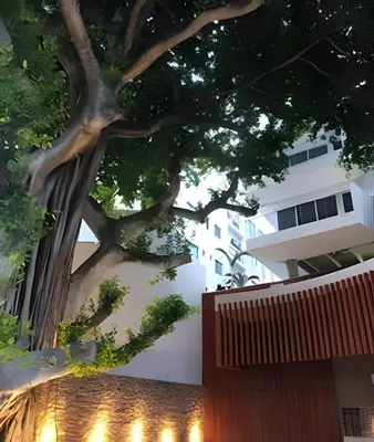 a tree in front of a building with a fence at 1 Dormitorio Cielo Mar. Jacuzzi Privado in Cartagena de Indias