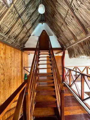 a staircase in a house with wooden walls and ceilings at Cabaña Yalis SAS in Cartagena de Indias