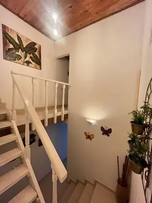 a staircase in a room with some plants at Casa 39-33 in Cartagena de Indias