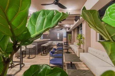 a waiting room with chairs and plants at Hotel Sites Barranquilla in Barranquilla