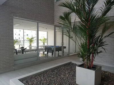 a palm tree in a planter next to a building at Linda suite in Barranquilla