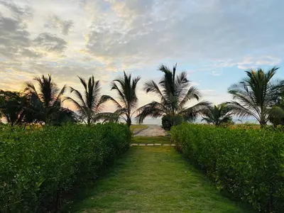 a path through a hedge with palm trees and the ocean at !Condominio de Lujo! Playa + Piscinas + Natural in Cartagena de Indias