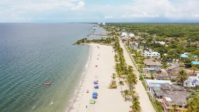 an aerial view of a beach with palm trees at Hotel Playa Divina in Coveñas