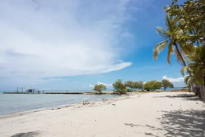 a beach with a palm tree and a pier at Casa Antigua in San Silvestre