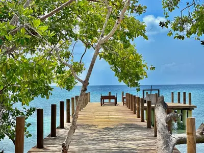 a wooden bridge over the ocean with a bench on it at Medusa Hostel Isla Tintipan in Tintipan Island