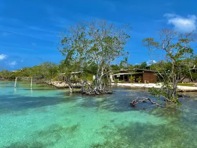 a pool of water with trees in front of a building at Medusa Hostel Isla Tintipan in Tintipan Island