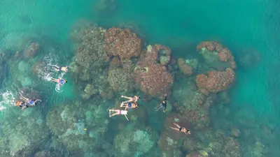 an aerial view of people on a coral reef at CasaCoral Hotel in Isla Fuerte