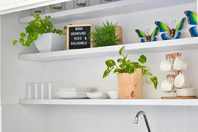 a kitchen shelf with dishes and plants on it at Aparta estudios Mubarak in Barranquilla