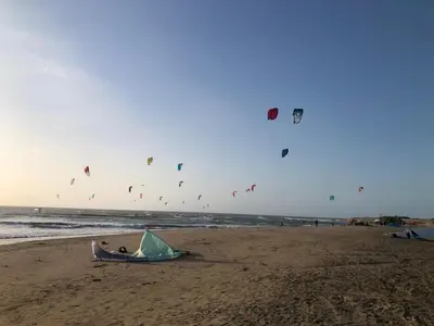 a group of kites flying over the beach at California House in Santa Veronica
