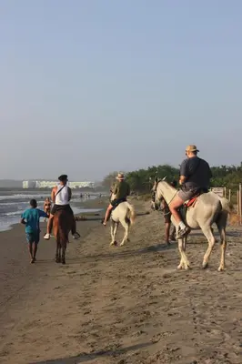 a group of people riding horses on the beach at Apartaestudio acceso al mar in Cartagena de Indias