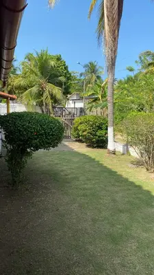 a park with a palm tree and a bush at Cabaña Coveñas Los García in Coveñas