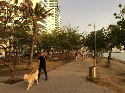 a man walking a dog on a leash on a sidewalk at Cozy apt. on Manga Bay Blvd. (Apto. Bahia manga) in Cartagena de Indias