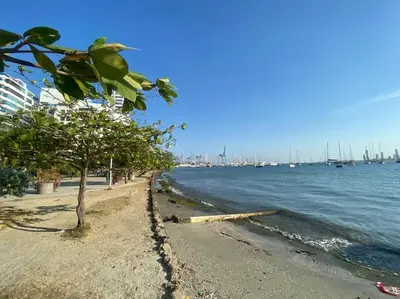 a beach with a tree and water and boats at Cozy apt. on Manga Bay Blvd. (Apto. Bahia manga) in Cartagena de Indias