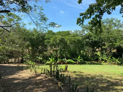 Gallery image of Casa Finca La Maquinaria in Arjona