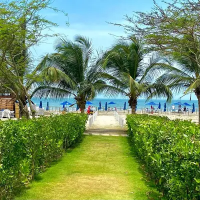 a path leading to a beach with palm trees at Espectacular frente al Mar- Morros Zoe - Playa Manzanillo Cartagena in Cartagena de Indias