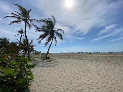 two palm trees sitting on a sandy beach at Comodo Apartamento en morros epic! in Cartagena de Indias