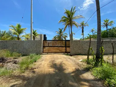 a dirt road with a fence and palm trees at Apto 1er piso frente a la playa y con piscina in San Bernardo del Viento
